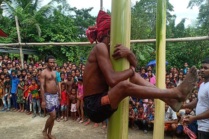 কলা, গাছ, তৈলাক্ত