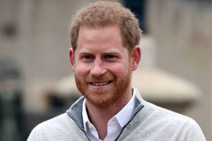 There was no other option but disclaim royal responsibility says Prince Harry