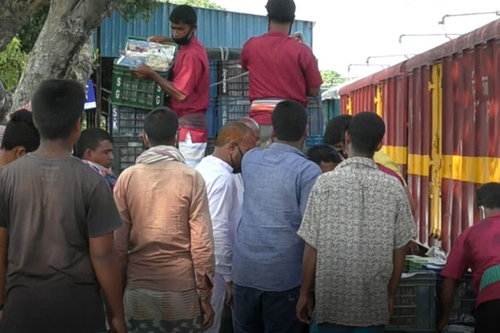 Parcel train, Panchagarh, Tomato, various districts