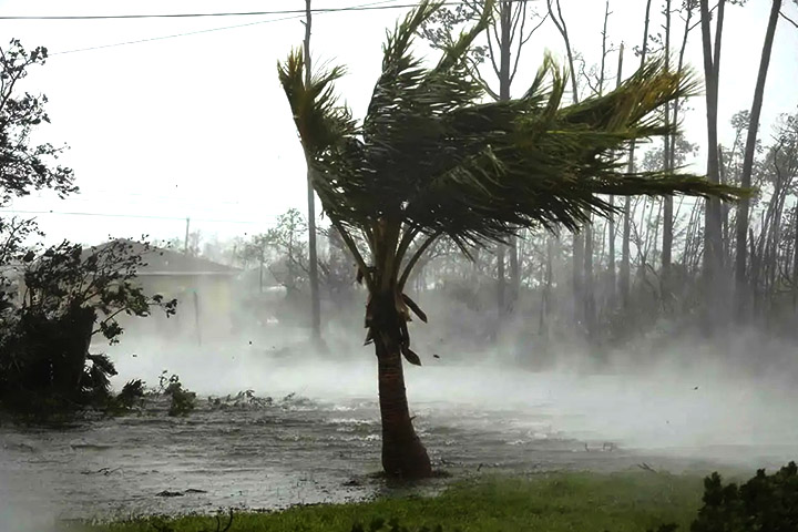 বগুড়ায় কালবৈশাখী ঝড়ে ২ জনের প্রাণহানি, ফসলের ব্যাপক ক্ষতি