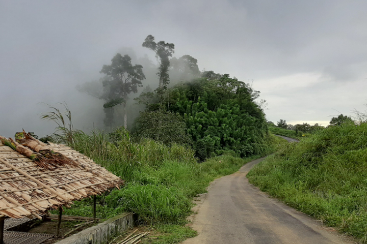 প্রাকৃতিক সৌন্দর্যের লীলাভূমি ডিম পাহাড়