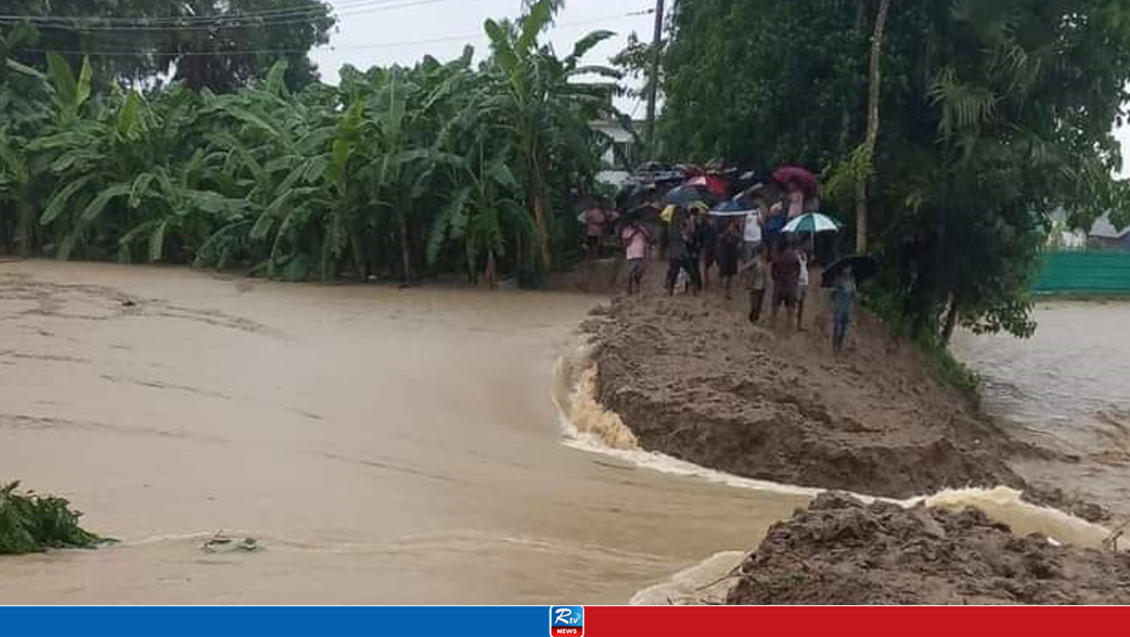 পরশুরামে মুহুরী নদীর বাঁধে ভাঙন, লোকালয়ে ঢুকছে পানি