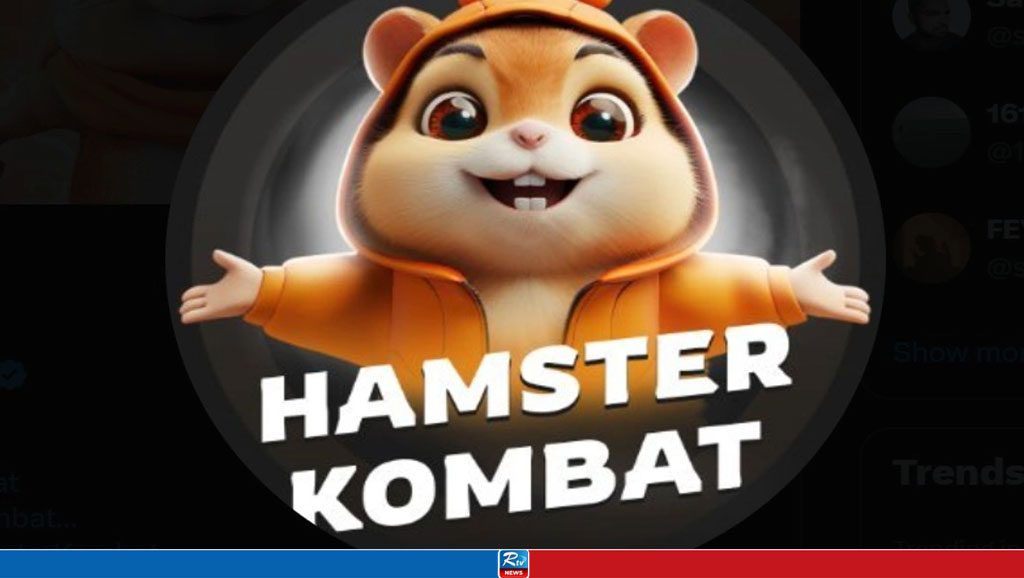 Only 43% of Users Qualified for Hamster Kombat's Season 1 Airdrop